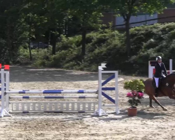 Iserlohn-Kalthof 2013