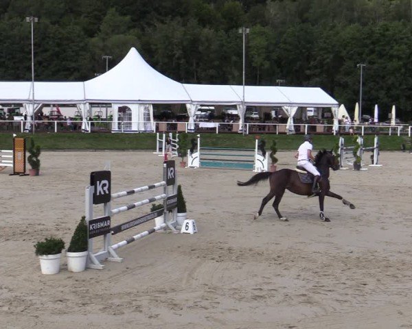 Reitturnier Bergisch Gladbach - Hebborner Hof 2024