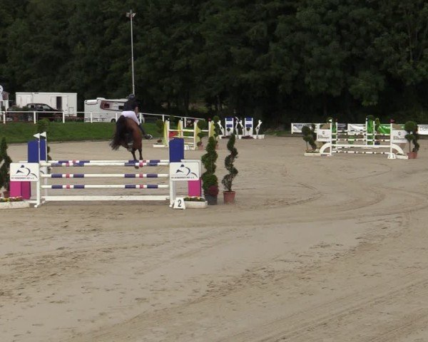 Reitturnier Bergisch Gladbach - Hebborner Hof 2024