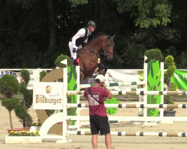Reitturnier Bergisch Gladbach - Hebborner Hof 2024