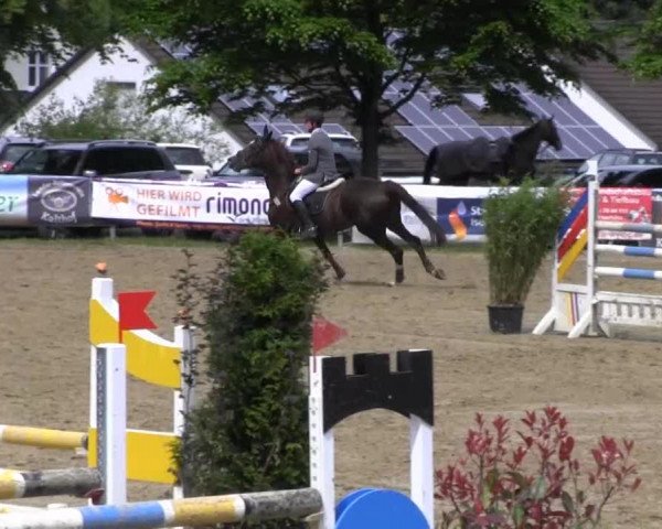 Iserlohn-Kalthof 2013