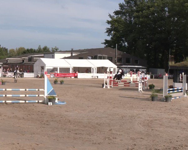 Reitturnier Datteln 2024