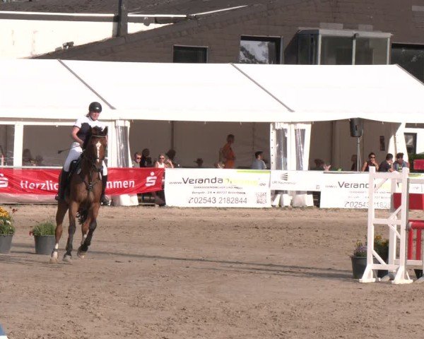 Reitturnier Datteln 2024