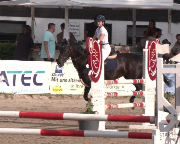 Reitturnier Datteln 2024
