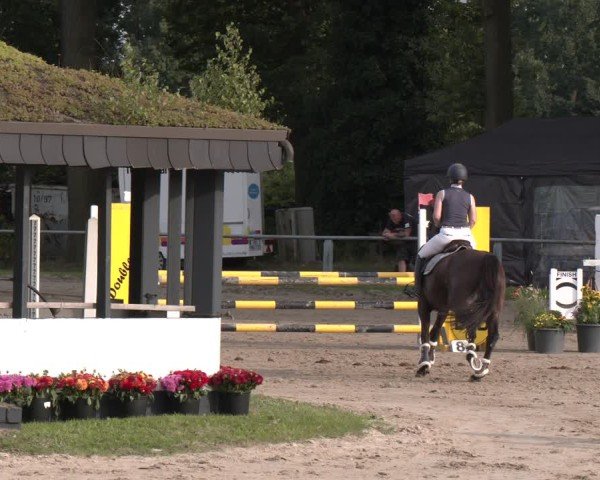 Reitturnier Datteln 2024