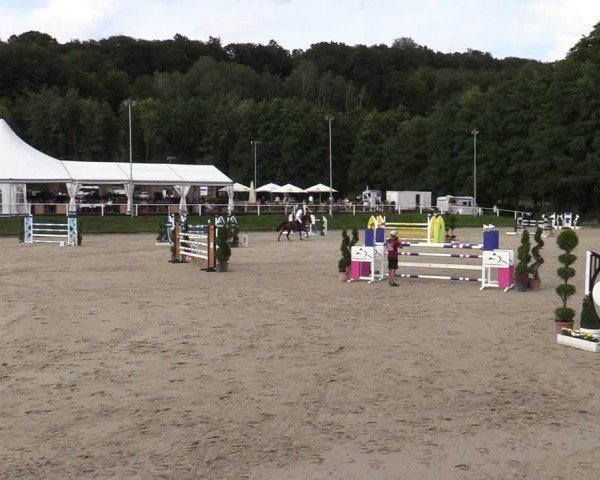Reitturnier Bergisch Gladbach - Hebborner Hof 2024