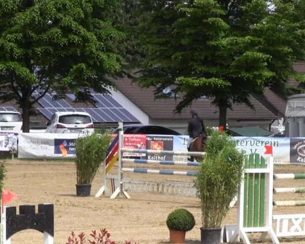Iserlohn-Kalthof 2013