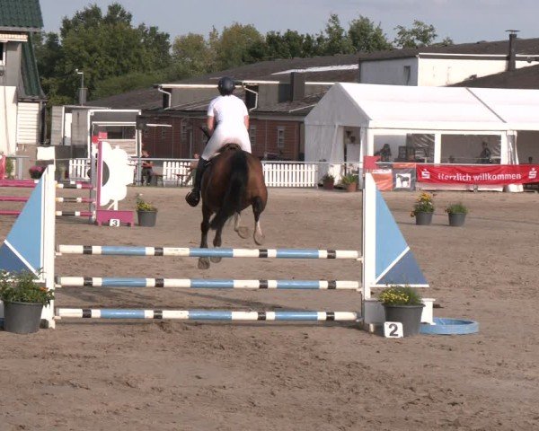 Reitturnier Datteln 2024