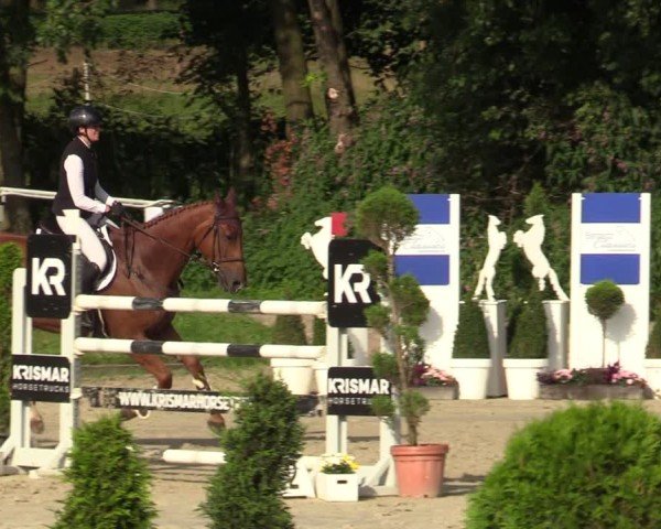 Reitturnier Bergisch Gladbach - Hebborner Hof 2024