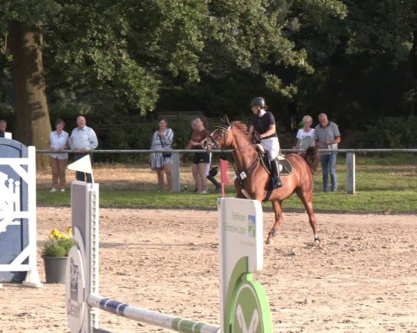 Reitturnier Datteln 2024