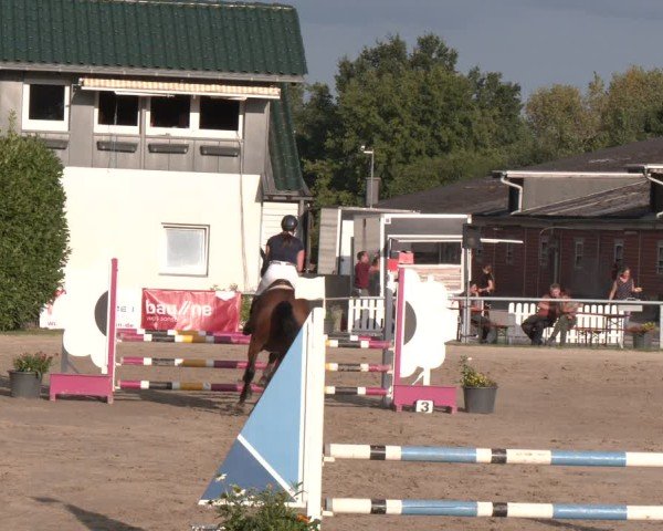 Reitturnier Datteln 2024