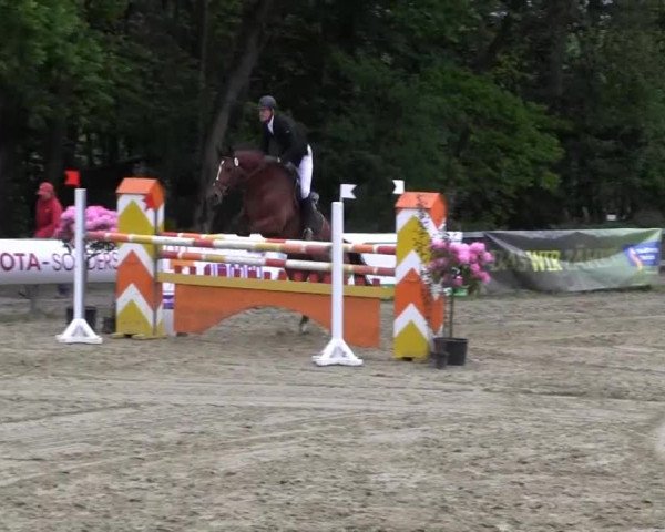 Iserlohn-Kalthof 2013