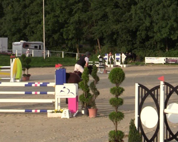 Reitturnier Bergisch Gladbach - Hebborner Hof 2024