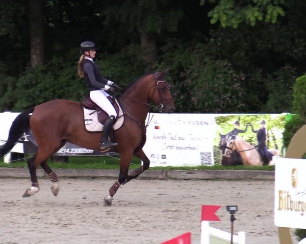 Reitturnier Bergisch Gladbach - Hebborner Hof 2024
