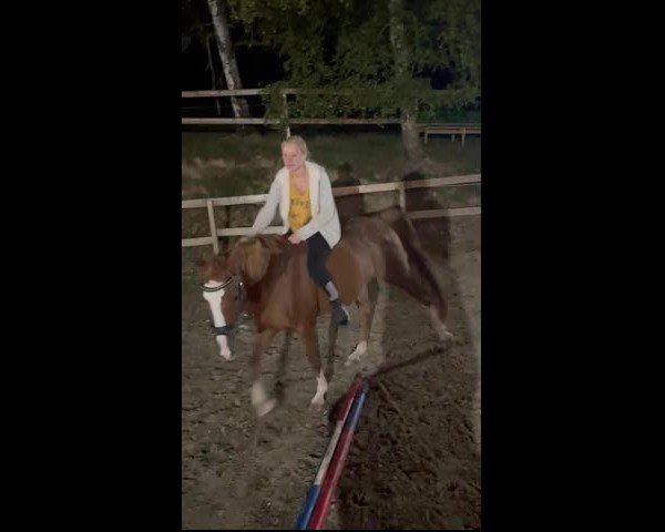 Video of Dizzy Lizzy AT