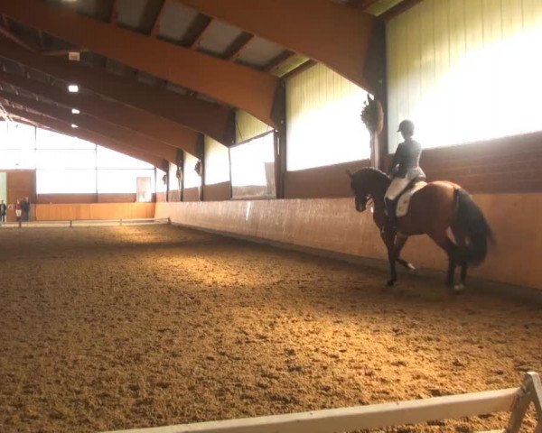 Iserlohn-Kalthof 2013