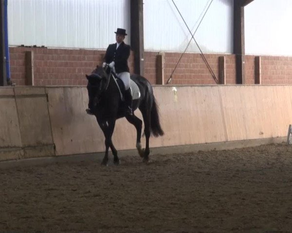 Reitturnier Iserlohn-Kalthof 2013