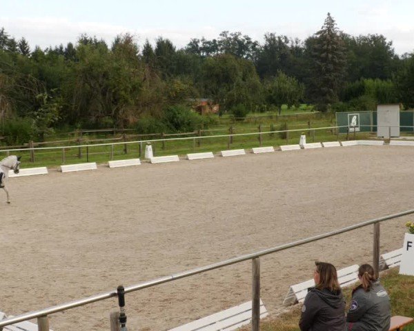 Reitturnier Köngen 2024
