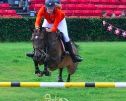 jumper Dakina II (KWPN (Royal Dutch Sporthorse), 2008, from Indoctro)