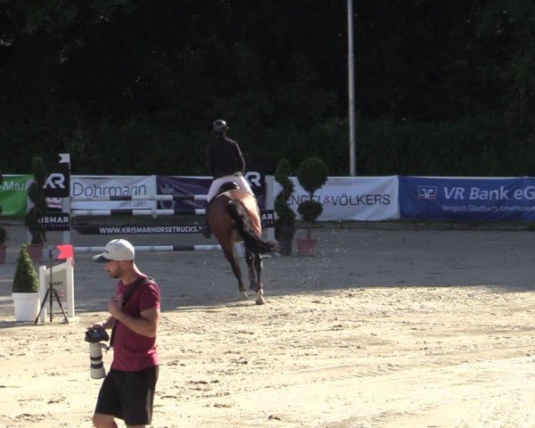 Reitturnier Bergisch Gladbach - Hebborner Hof 2024