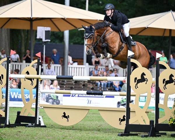 Springpferd Foodfox' Cathilde H (Holsteiner, 2017, von Cascadello)