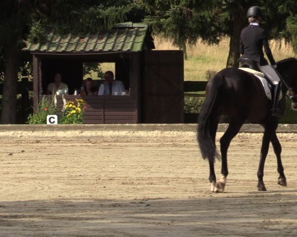 Reitturnier Datteln 2024