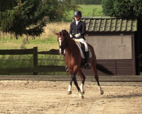 Reitturnier Datteln 2024