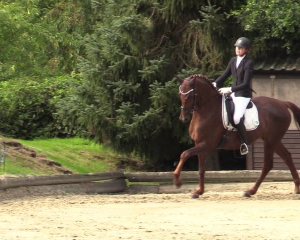 Reitturnier Datteln 2024