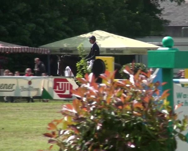 Pfingst-Dressur- und Springturnier 2013 des ZRFV Borken
