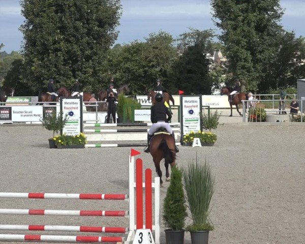 Reitturnier Stolberg-Büsbach 2024