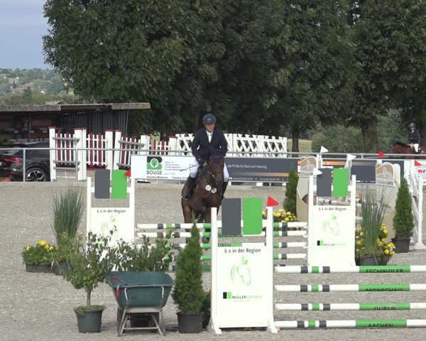 Reitturnier Stolberg-Büsbach 2024