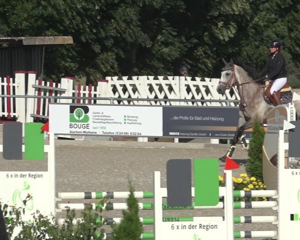 Reitturnier Stolberg-Büsbach 2024