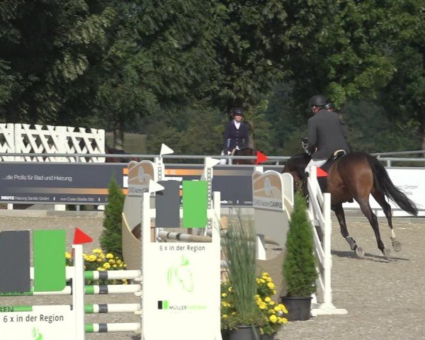 Reitturnier Stolberg-Büsbach 2024