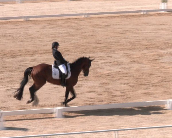 Reitturnier Stadl-Paura 2024