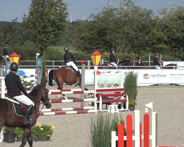 Reitturnier Stolberg-Büsbach 2024