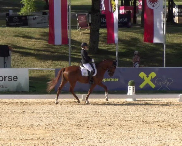 Reitturnier Stadl-Paura 2024