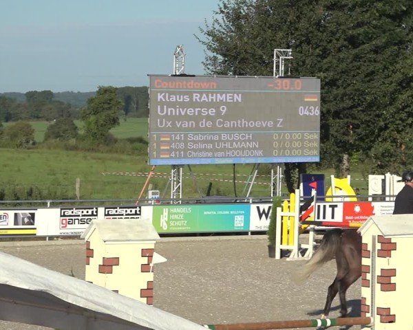 Reitturnier Stolberg-Büsbach 2024