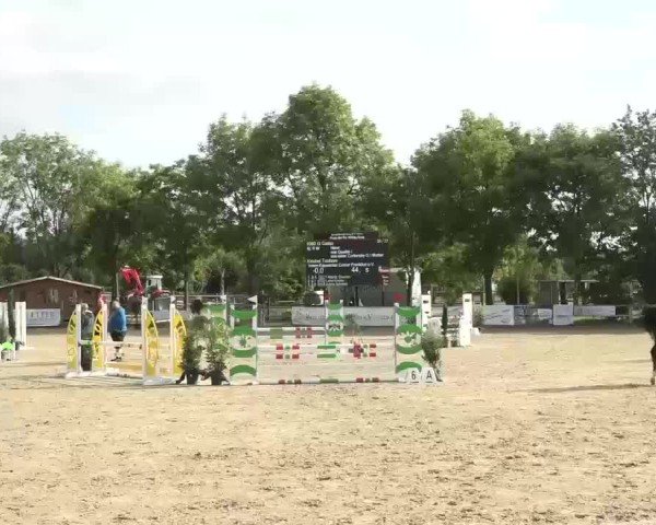 Video von Q´Galito
