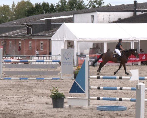 Reitturnier Datteln 2024