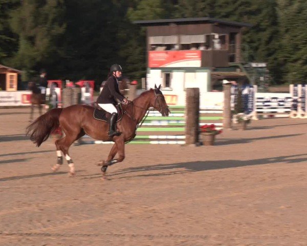Reitturnier Ranshofen - Braunau am Inn 2024