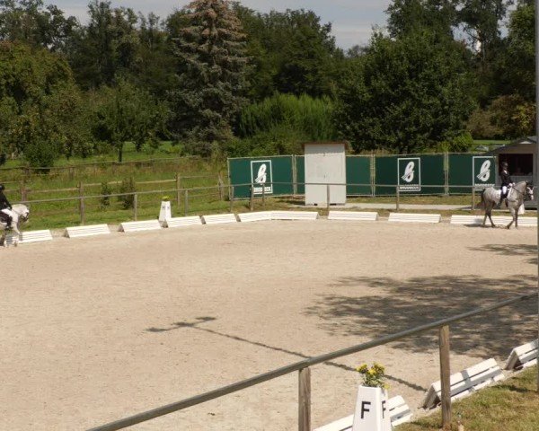 Reitturnier Köngen 2024