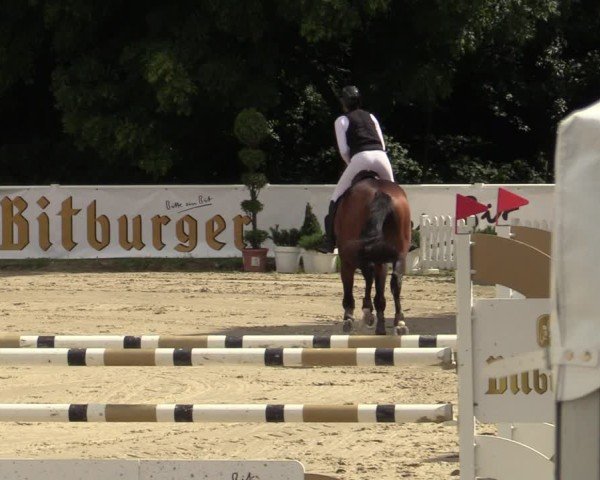 Reitturnier Bergisch Gladbach - Hebborner Hof 2024