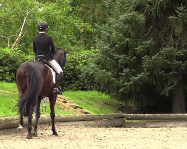 Reitturnier Datteln 2024