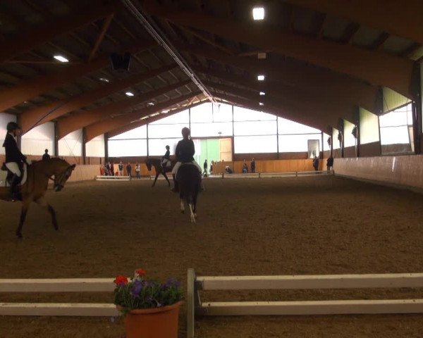 Iserlohn-Kalthof 2013
