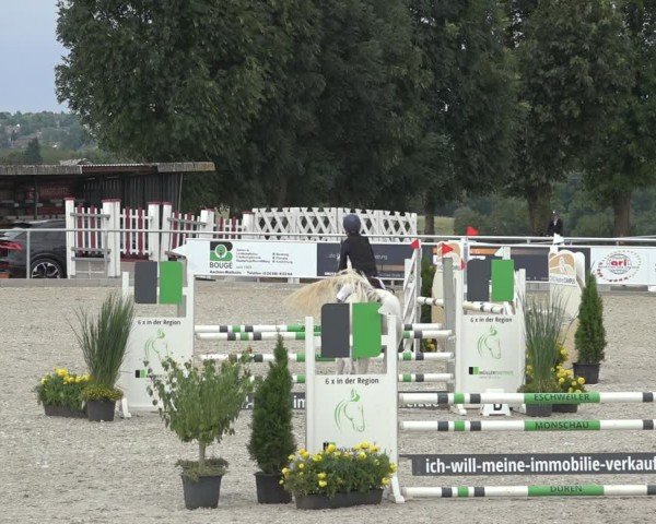 Reitturnier Stolberg-Büsbach 2024