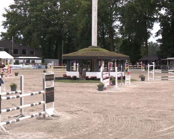 Reitturnier Datteln 2024
