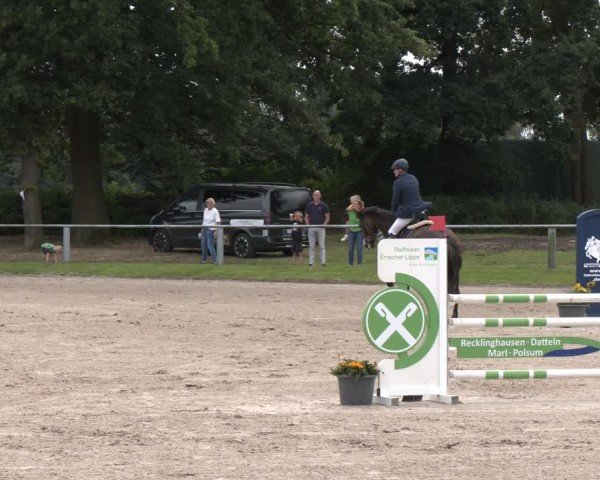 Reitturnier Datteln 2024