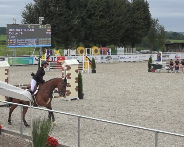 Reitturnier Stolberg-Büsbach 2024