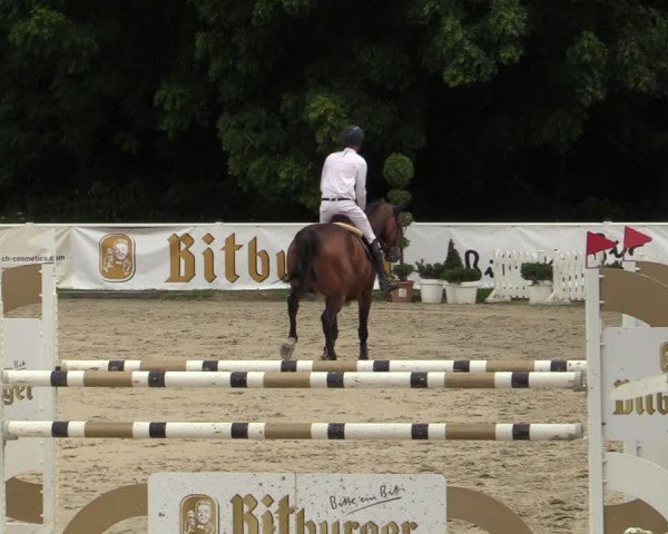 Reitturnier Bergisch Gladbach - Hebborner Hof 2024