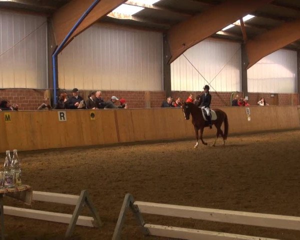 Iserlohn-Kalthof 2013